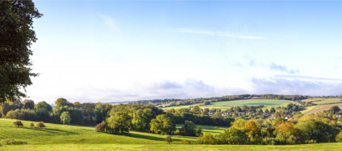 UK farmland