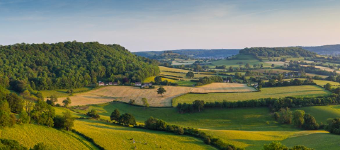 UK Farmland Landscape