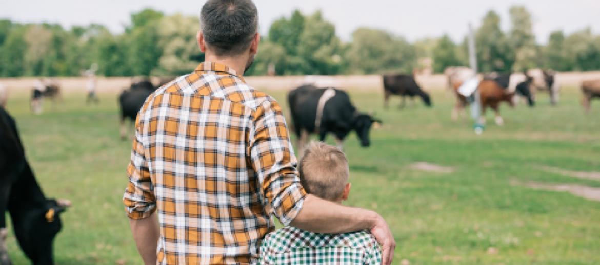 Father and Son on farmland