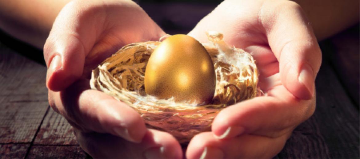 hands holding golden egg