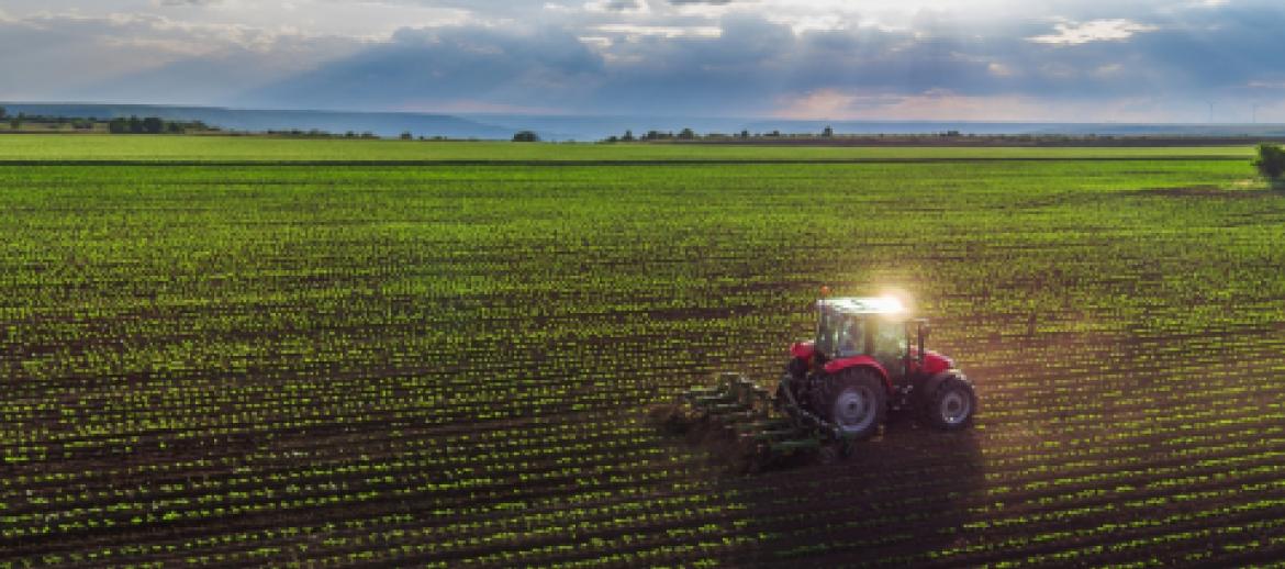 Tractor ploughing crops