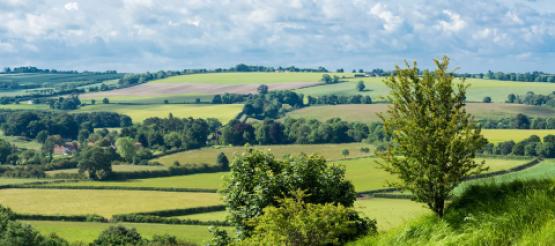 Agri Landscape