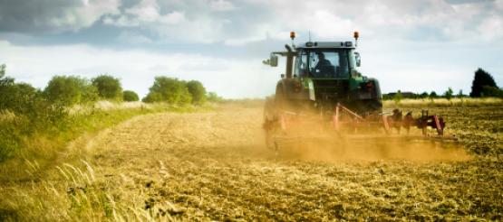 Tractor ploughing on farmland