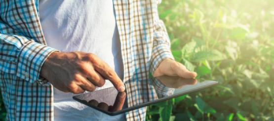 farmer looking at accounts on ipad 