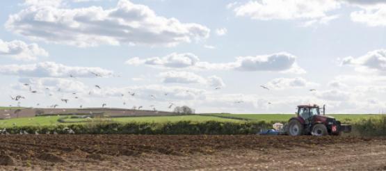 Tractor ploughing farmland with birds flying in sky