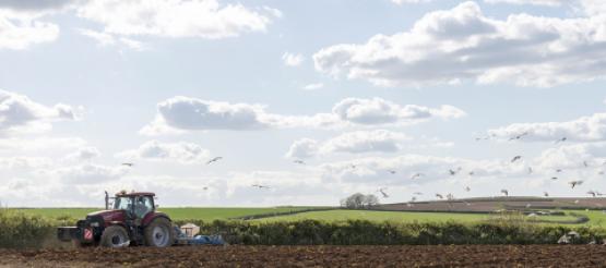 Tractor on field