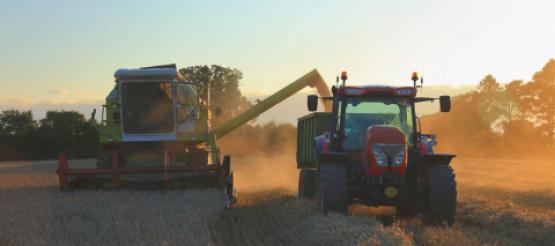 Combine harvester unloading Wheat