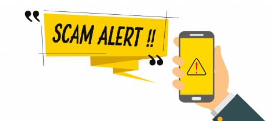 Scam Alert on a phone