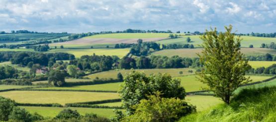 Agri Landscape support for farming