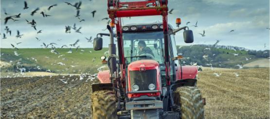 Tractor ploughing field