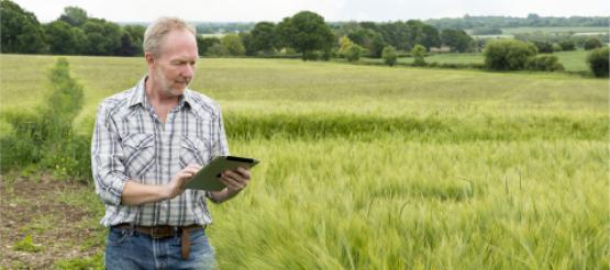 Farmer Making Tax Digital