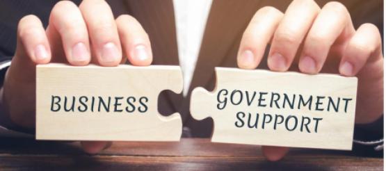 Government Business Support