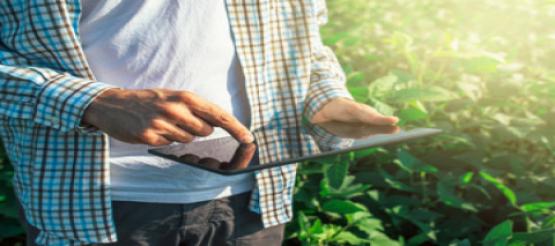 farmer using ipad for accounting