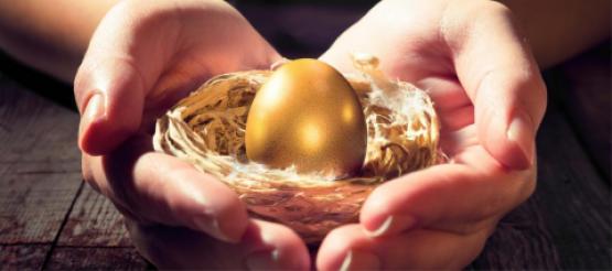 hands holding golden egg