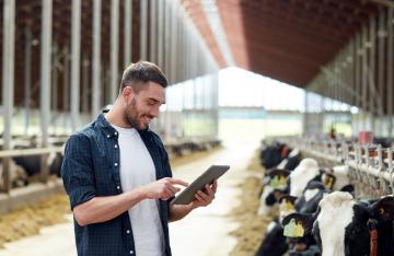 Young male farmer in milking shed looking at Ipad