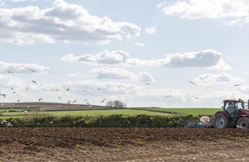 Tractor ploughing farmland with birds flying in sky