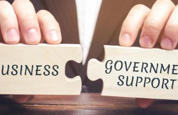 Government Business Support