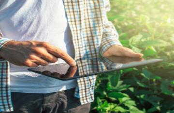 farmer using ipad for accounting