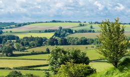 Agri Landscape