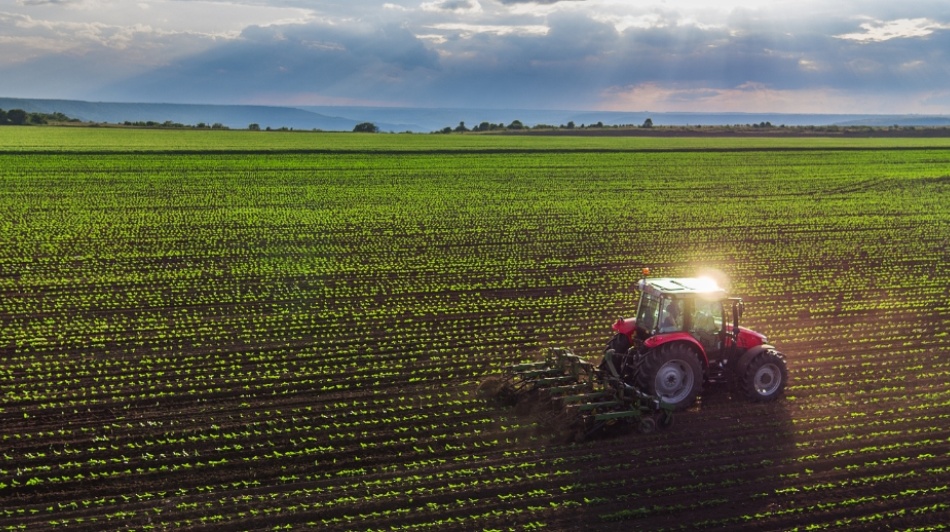 Tractor ploughing a field.