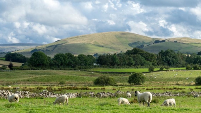 countryside