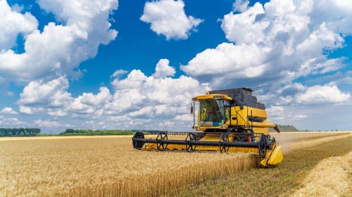 Harvesting wheat with a yellow combine harvester in a golden field beneath a bright blue sky with large white clouds.