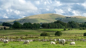 countryside