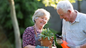 Older adults gardening together outdoors, holding a potted succulent and pruning shears in a sunlit garden.