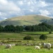 countryside