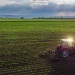 Tractor ploughing a field.