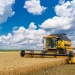 Harvesting wheat with a yellow combine harvester in a golden field beneath a bright blue sky with large white clouds.