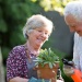 Older adults gardening together outdoors, holding a potted succulent and pruning shears in a sunlit garden.