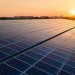 Large solar panel array generating renewable energy at sunset with city skyline in the distance.